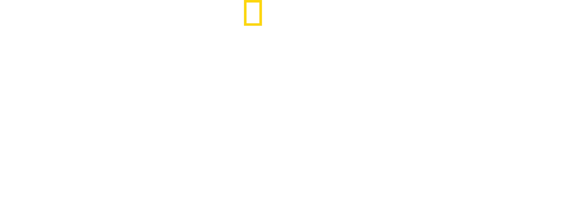 Skutečný lví král