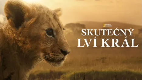 thumbnail - Skutečný lví král