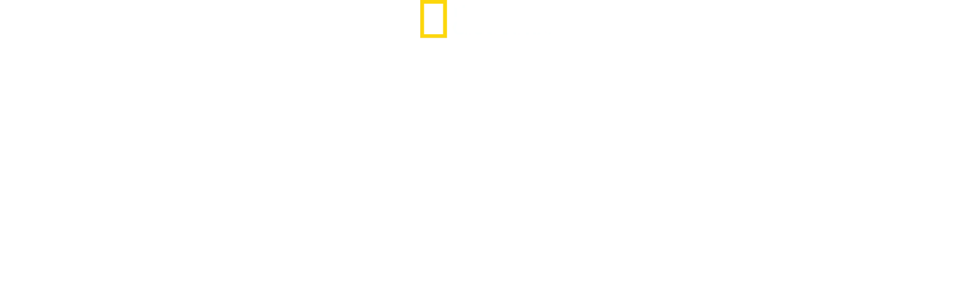 Leijonien dynastia