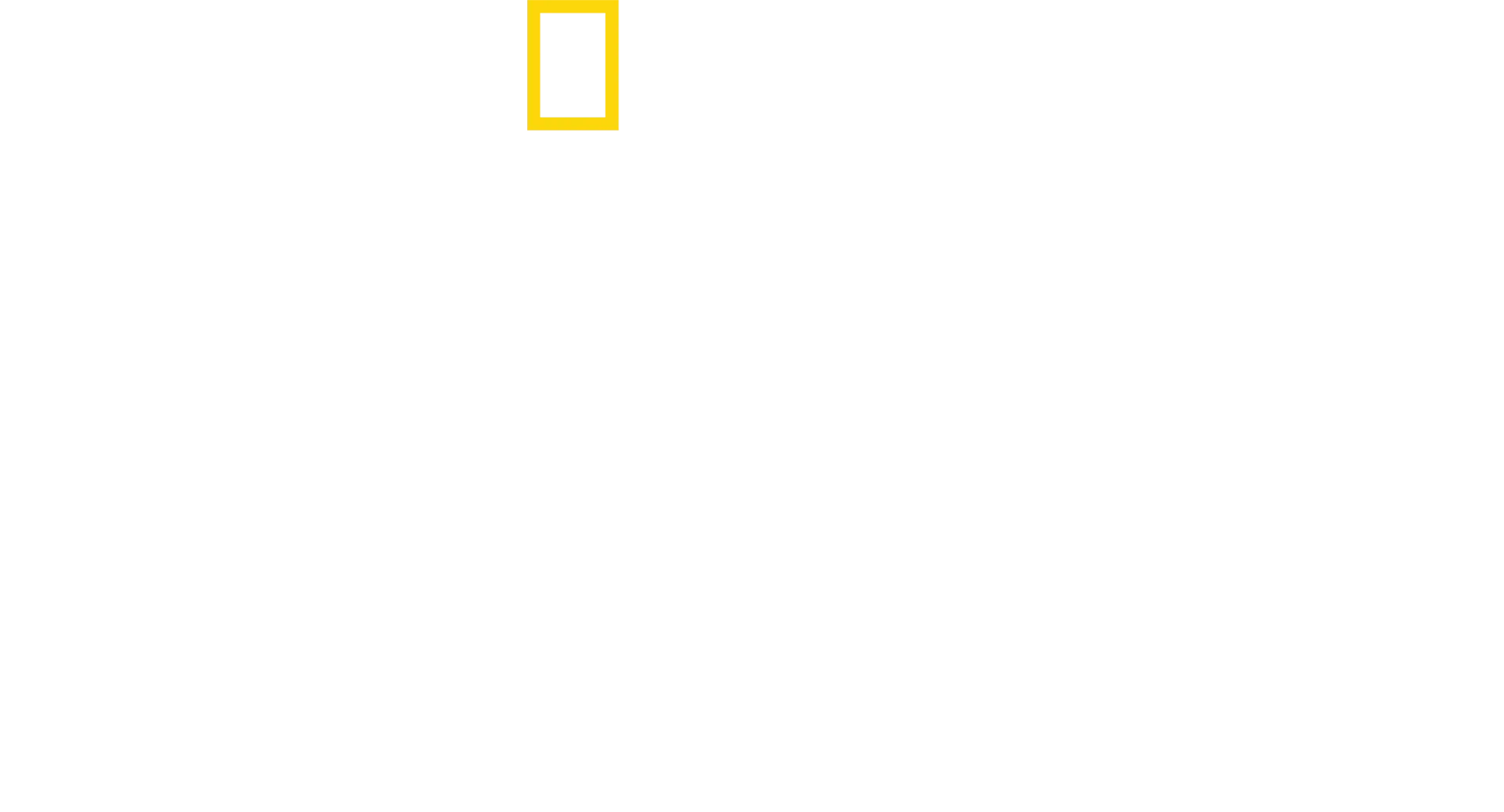 LION -王国の物語-