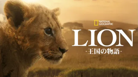 thumbnail - LION -王国の物語-