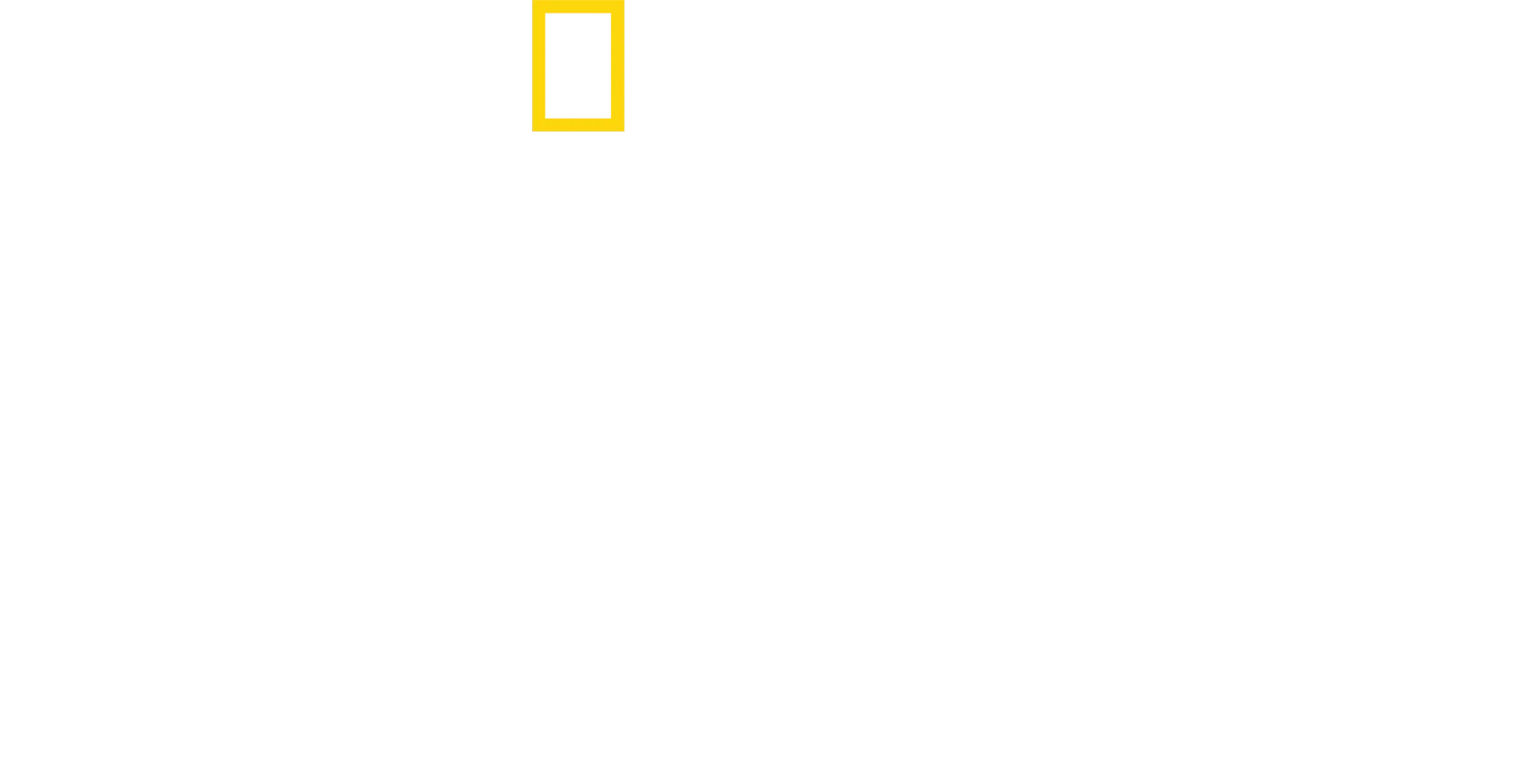 Lion: Die Löwen-Saga