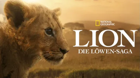 thumbnail - Lion: Die Löwen-Saga