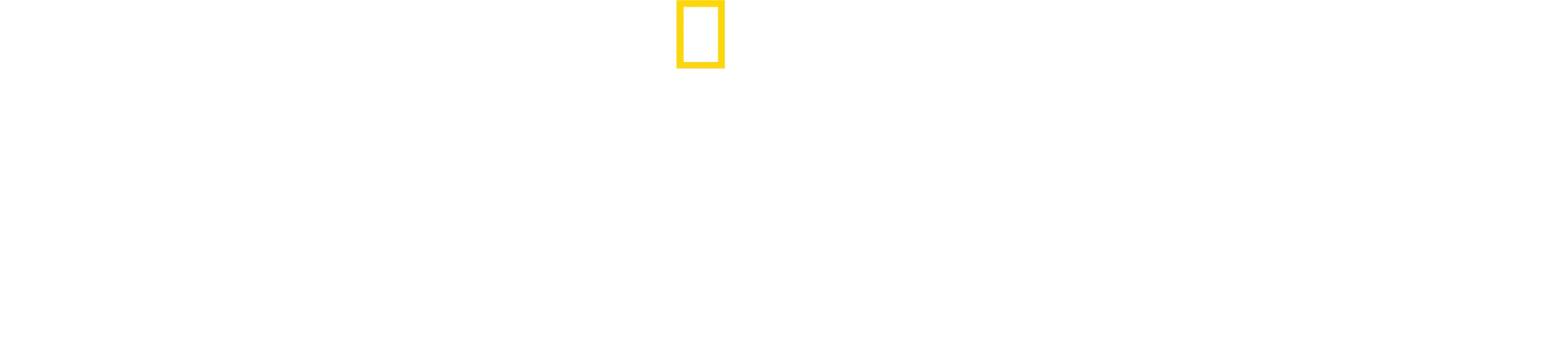 Λιοντάρι