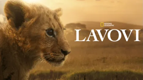 thumbnail - Lav