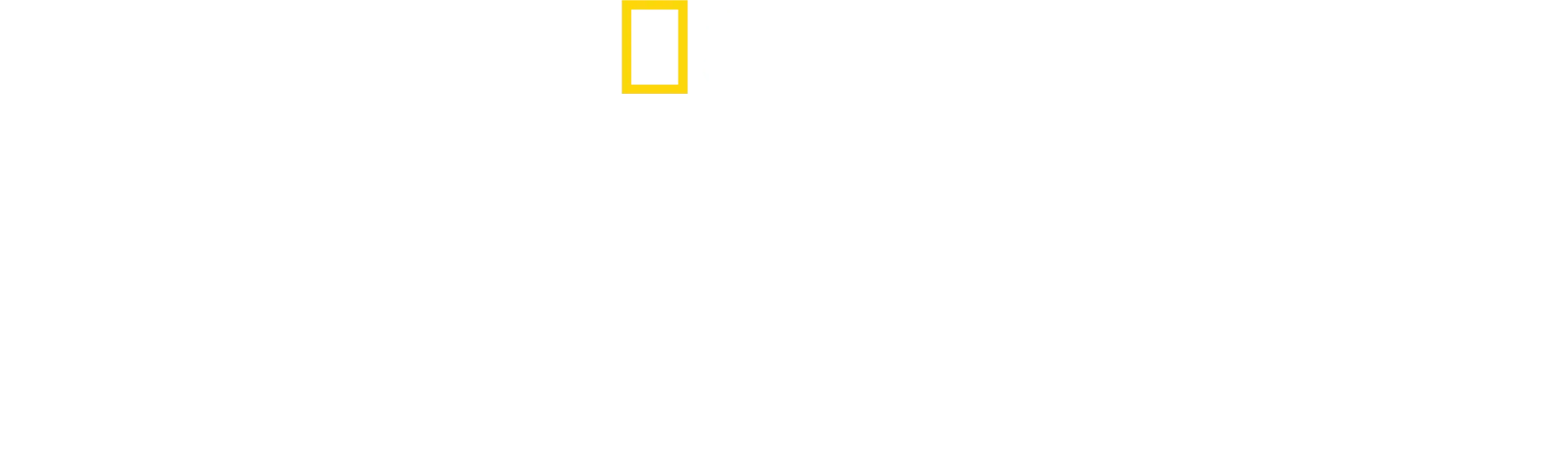 Lav