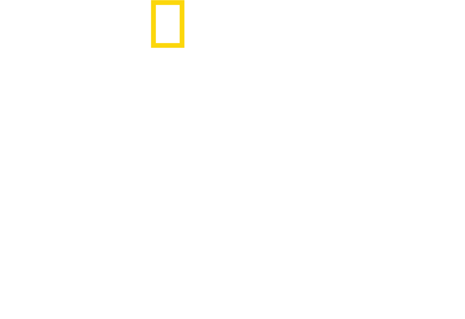 라이온: 초원의 왕국