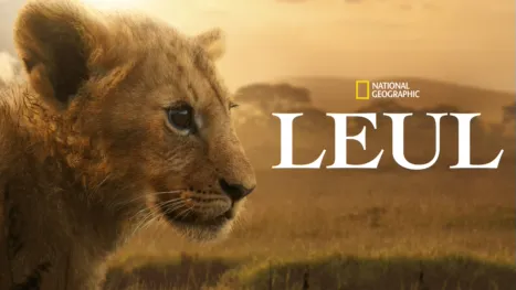 thumbnail - Leul