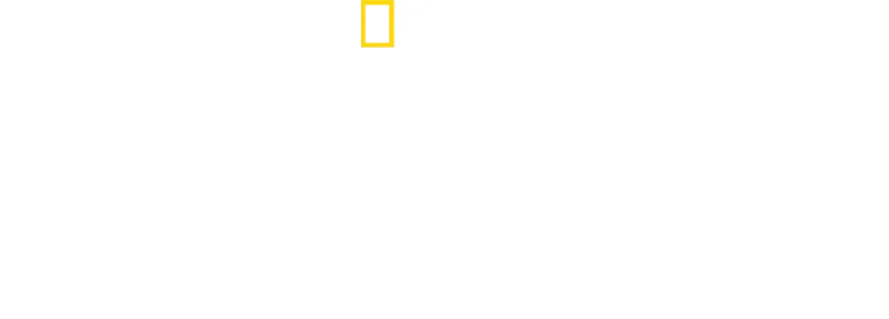 Oroszlán: Egy kölyök útja a királyságig