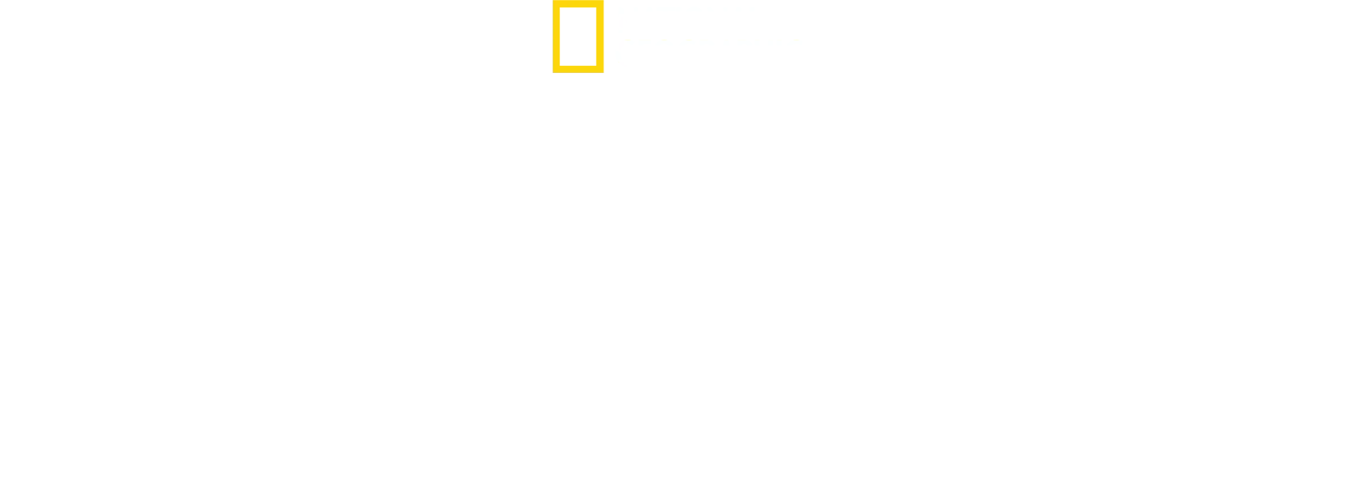 Oroszlán: Egy kölyök útja a királyságig