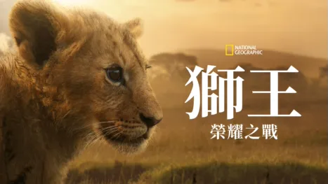thumbnail - 獅王：榮耀之戰