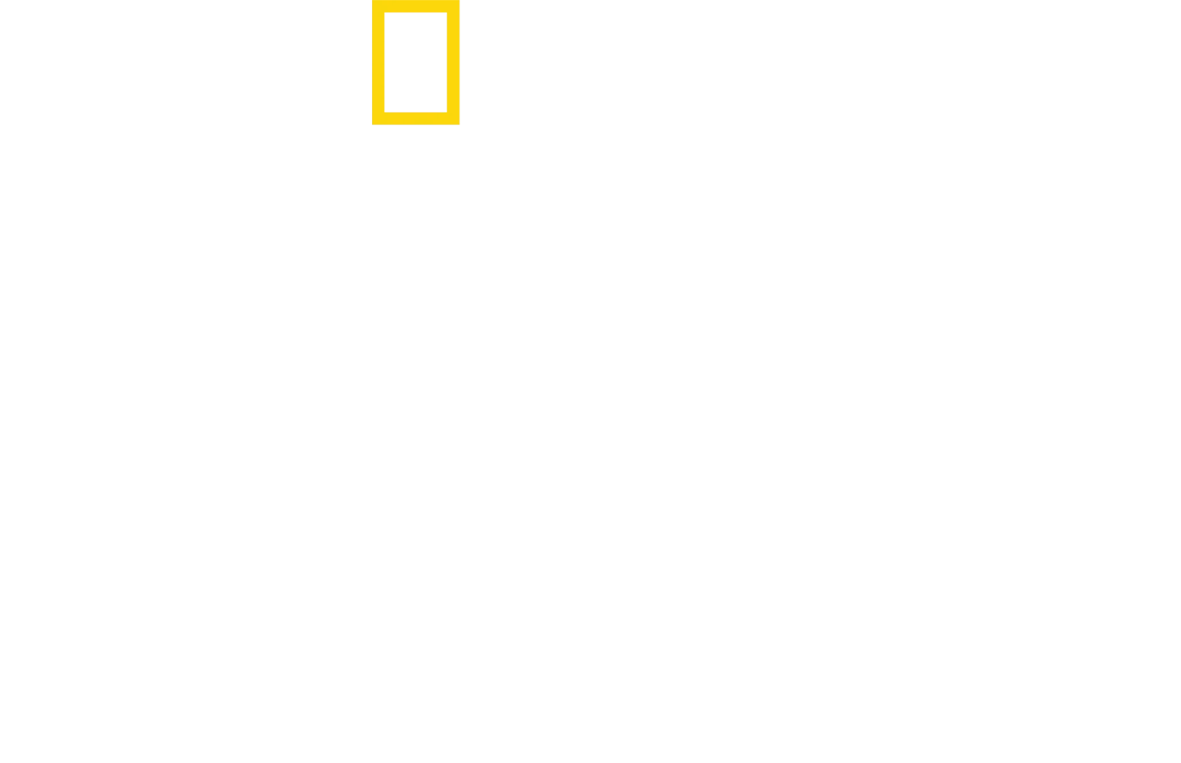 W królestwie lwa