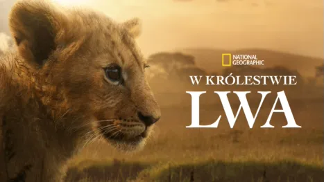 thumbnail - Lion