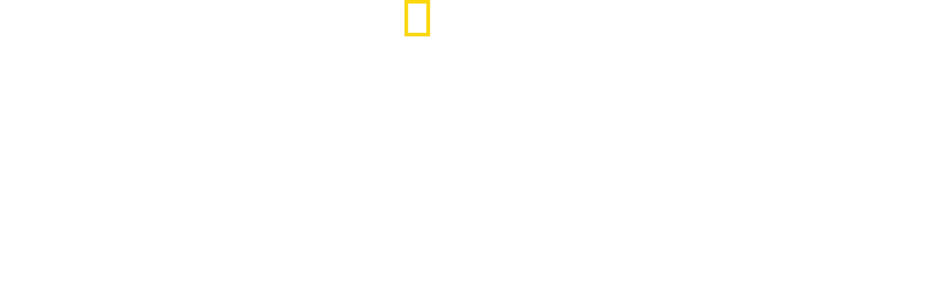 Skutočný leví kráľ