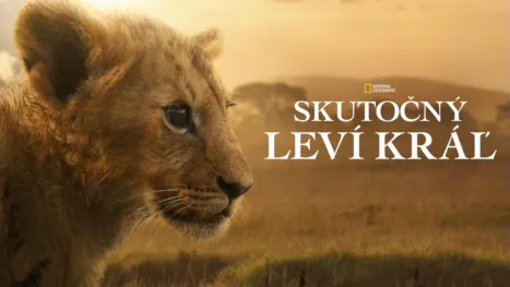 thumbnail - Skutočný leví kráľ