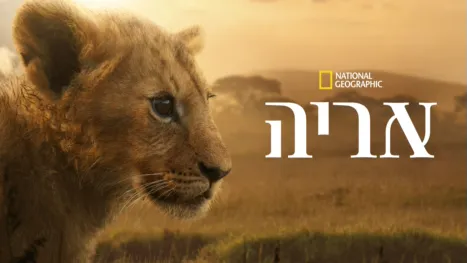 thumbnail - אריה