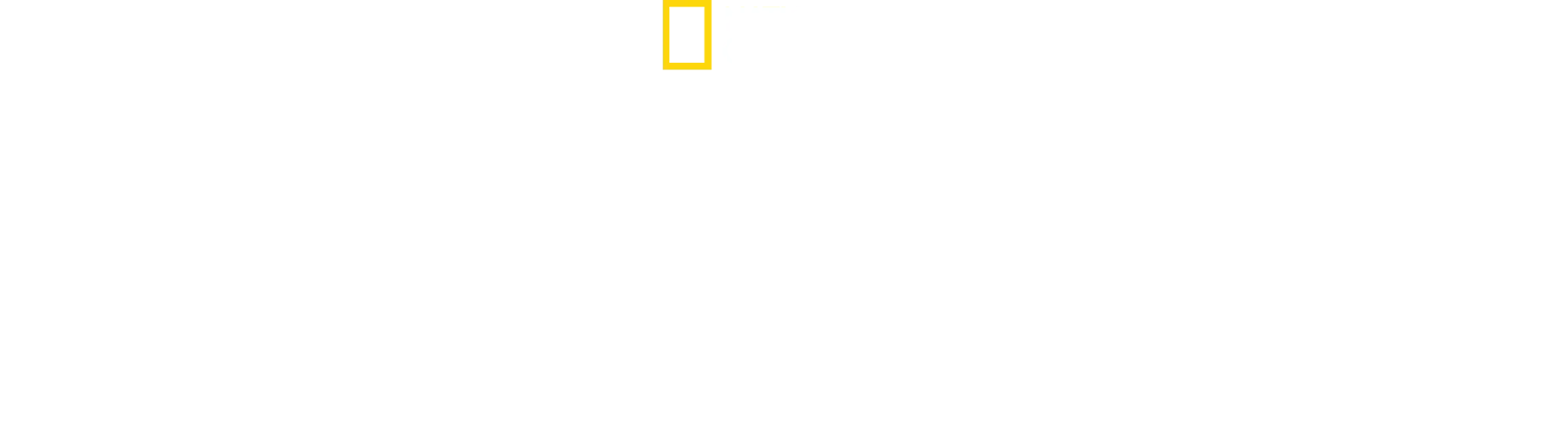 Aslan Kralın Doğuşu