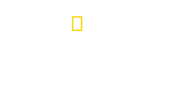 León