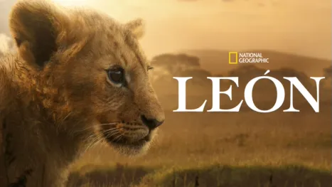 thumbnail - León