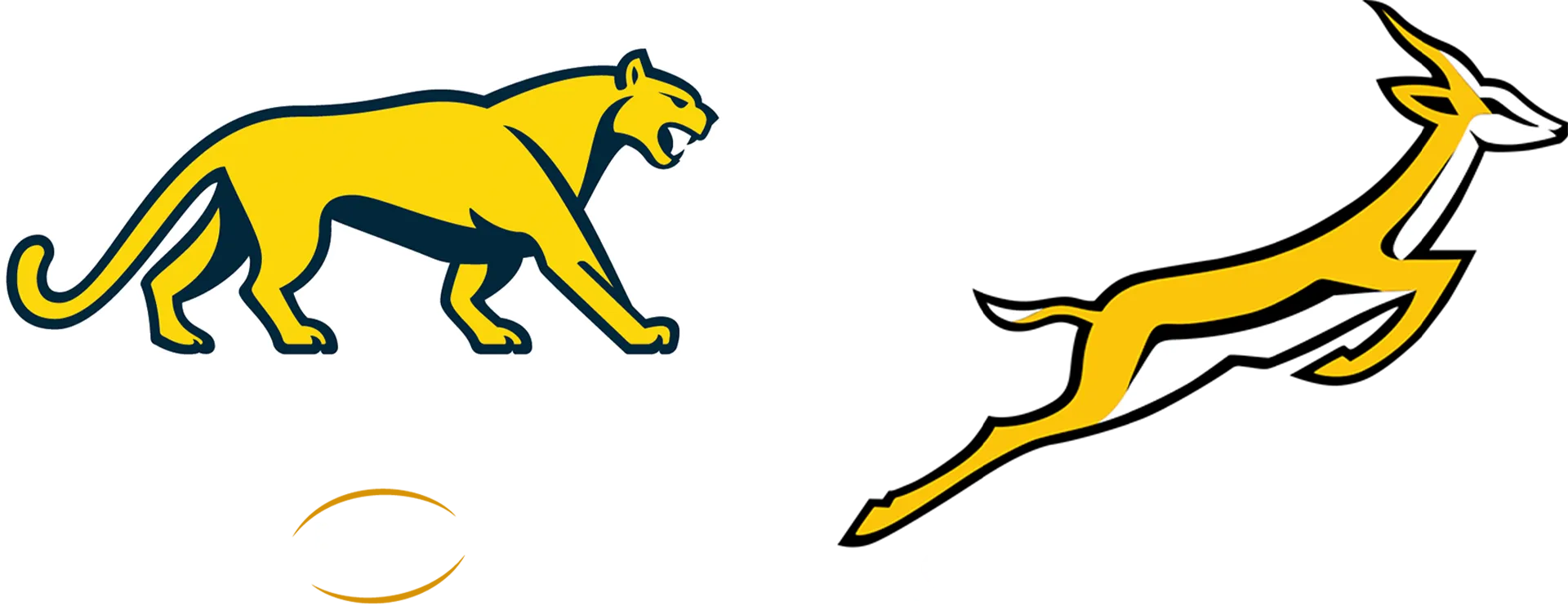 Argentina vs. Sudafrica