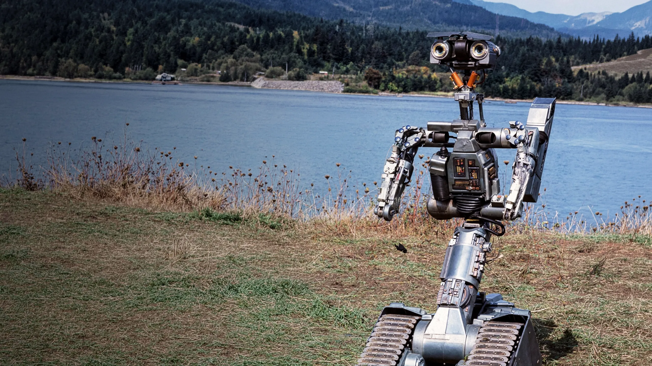 Short Circuit