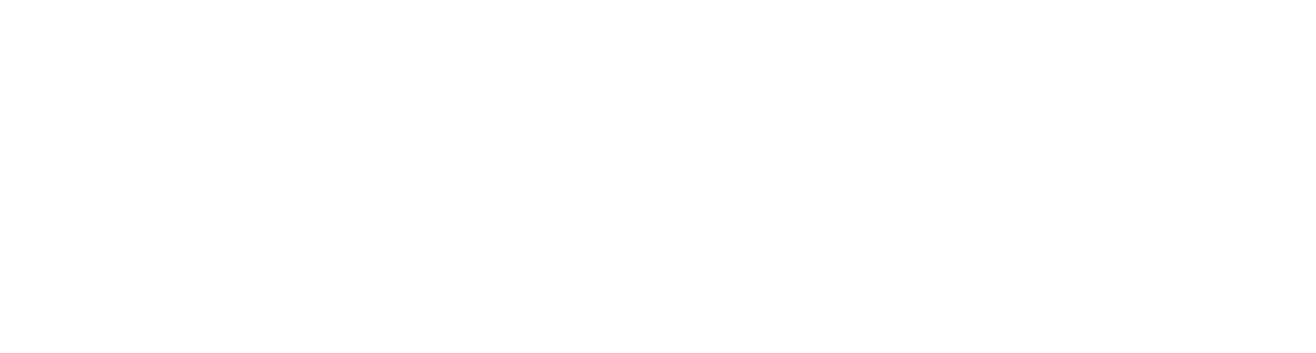 Das zweite Attentat
