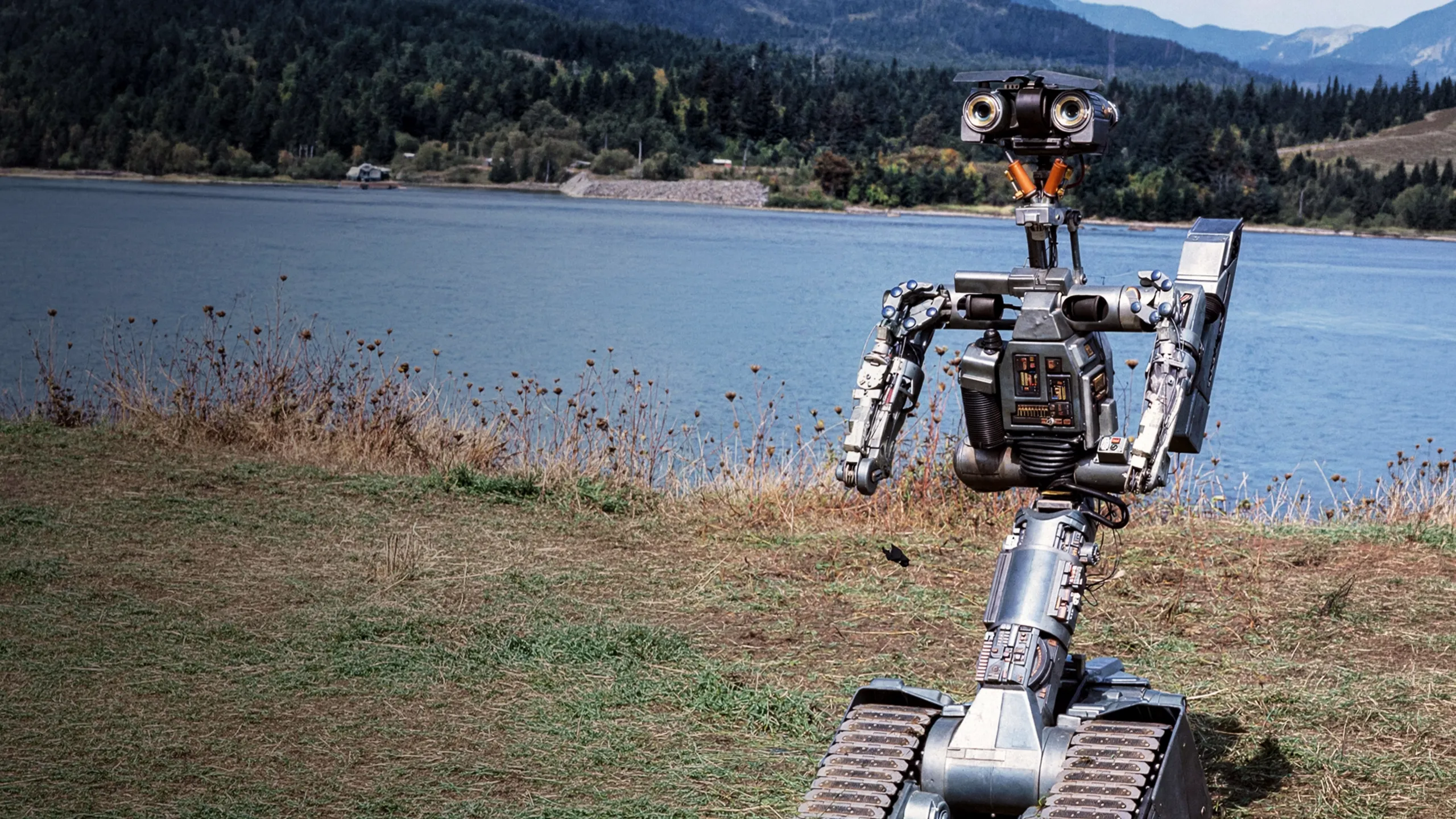Short Circuit