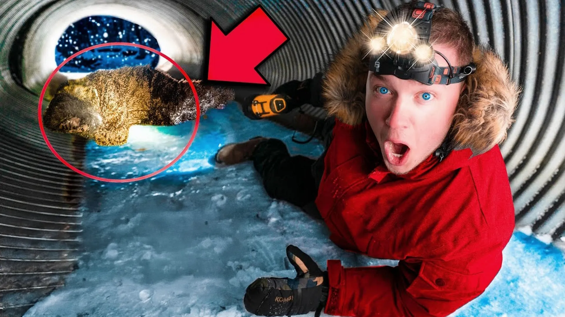 thumbnail - S1:E11 Snowstorm Survival: Box Fort Edition!