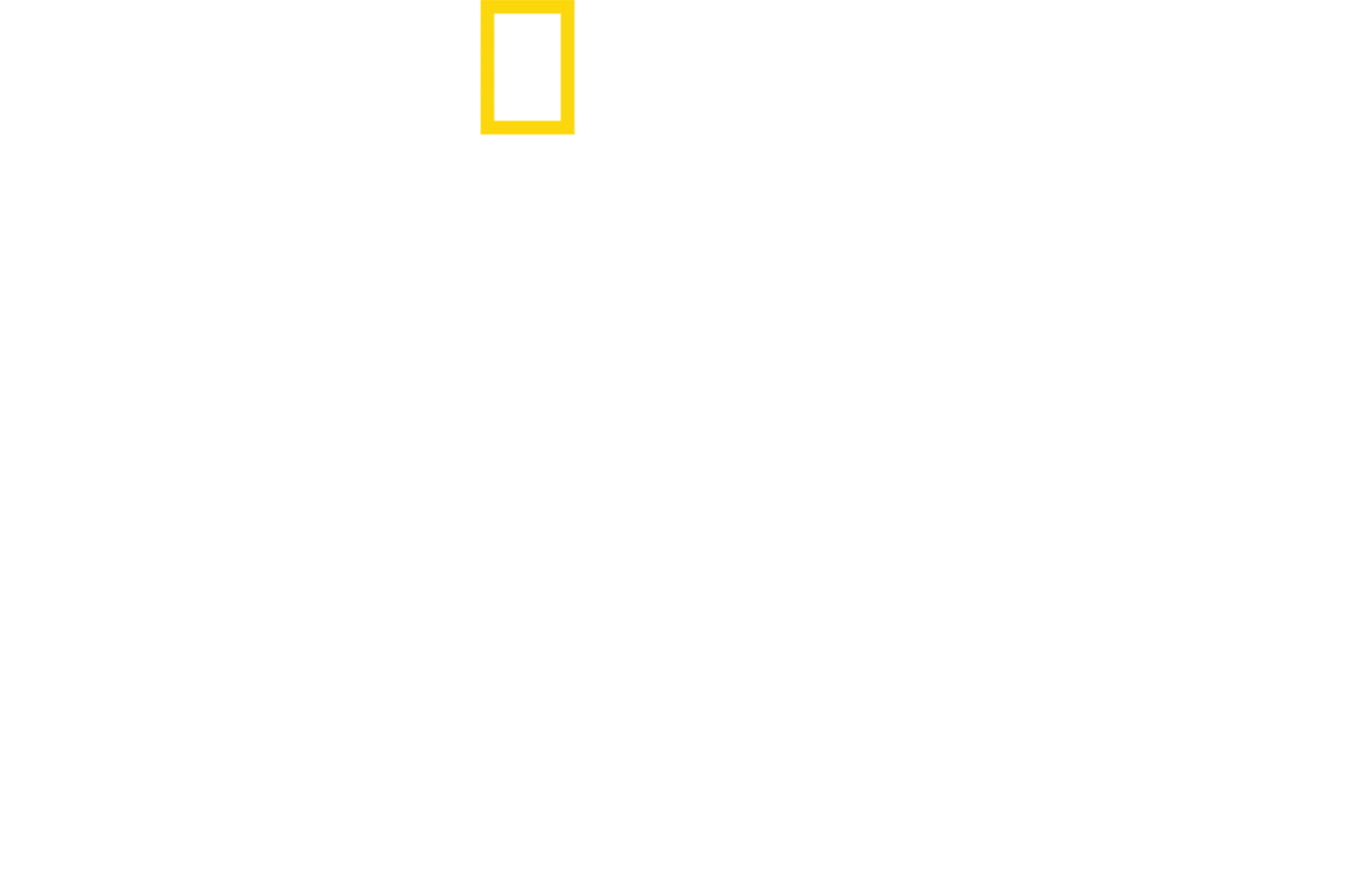 Normandiya Tanıkları