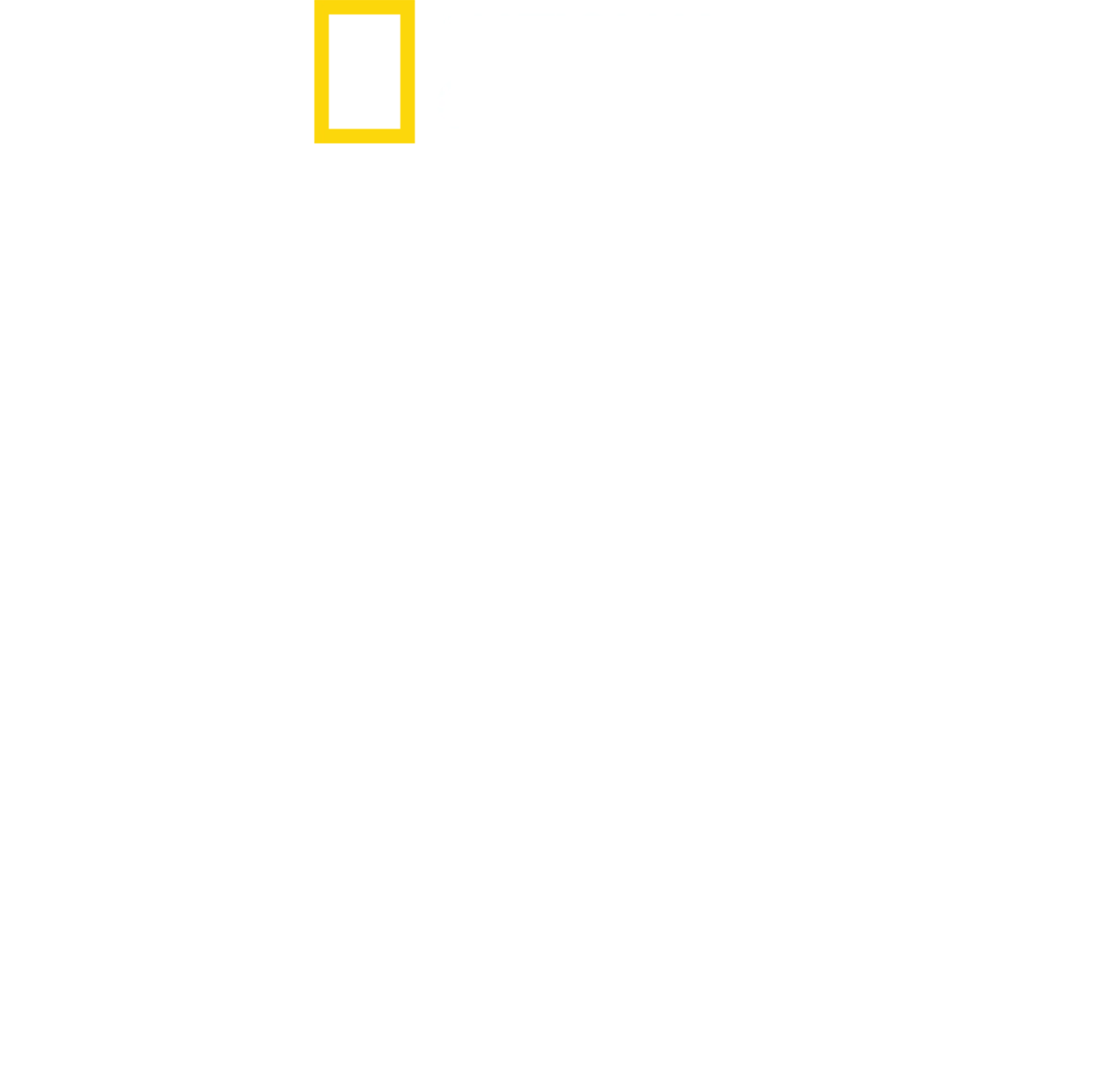 ملفات هجمات أسماك القرش
