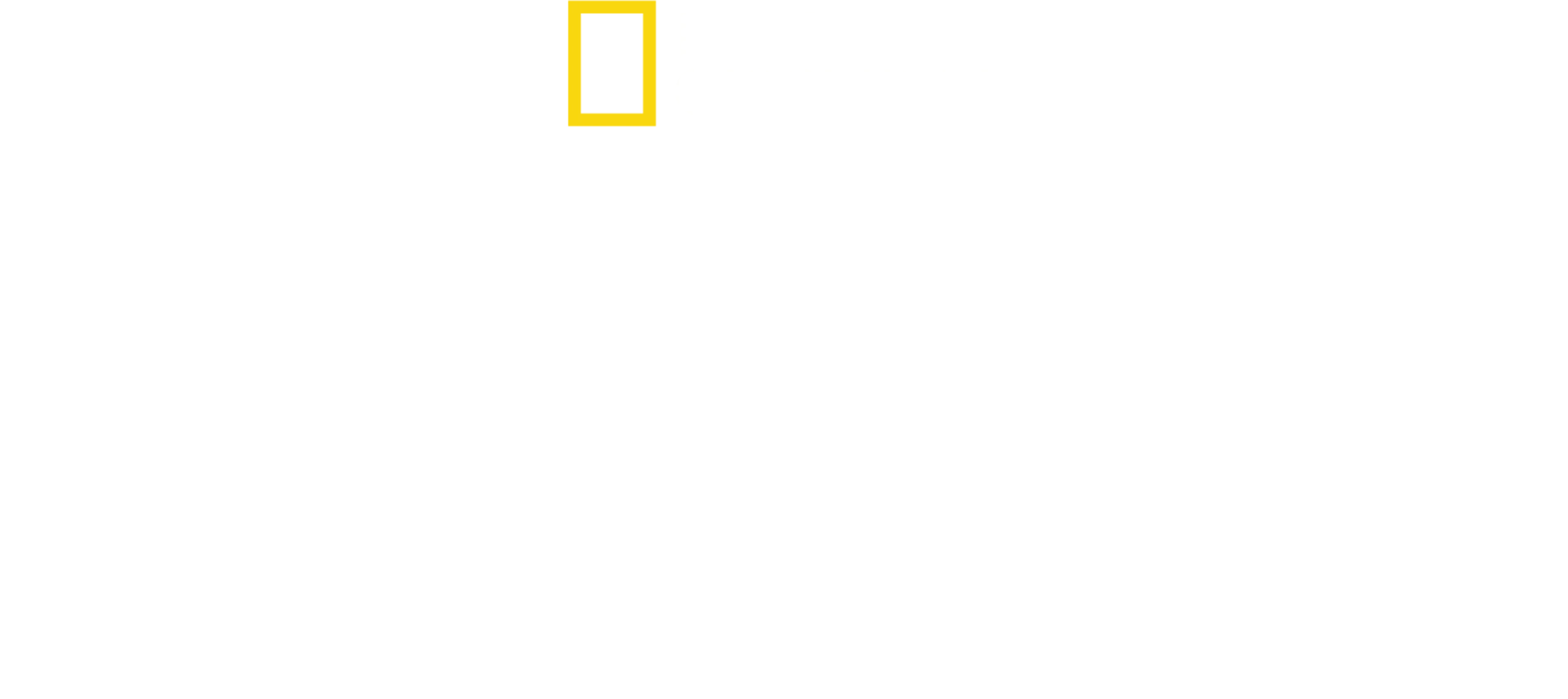決死のサバイバル術 第二次世界大戦