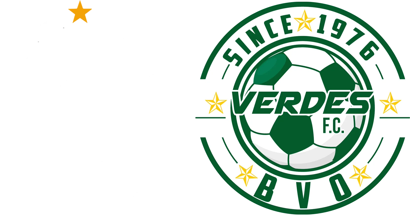 CS Cartaginés vs. Verdes FC
