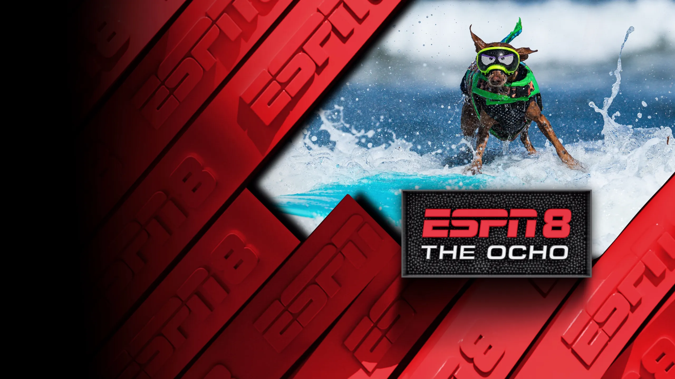 2026 World Dog Surfing Championships Best Waves