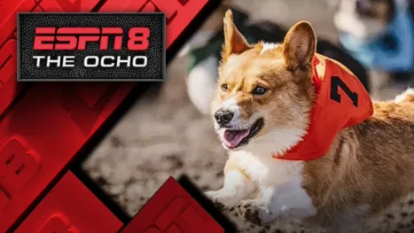 thumbnail - 2026 Corgi Races at Emerald Downs
