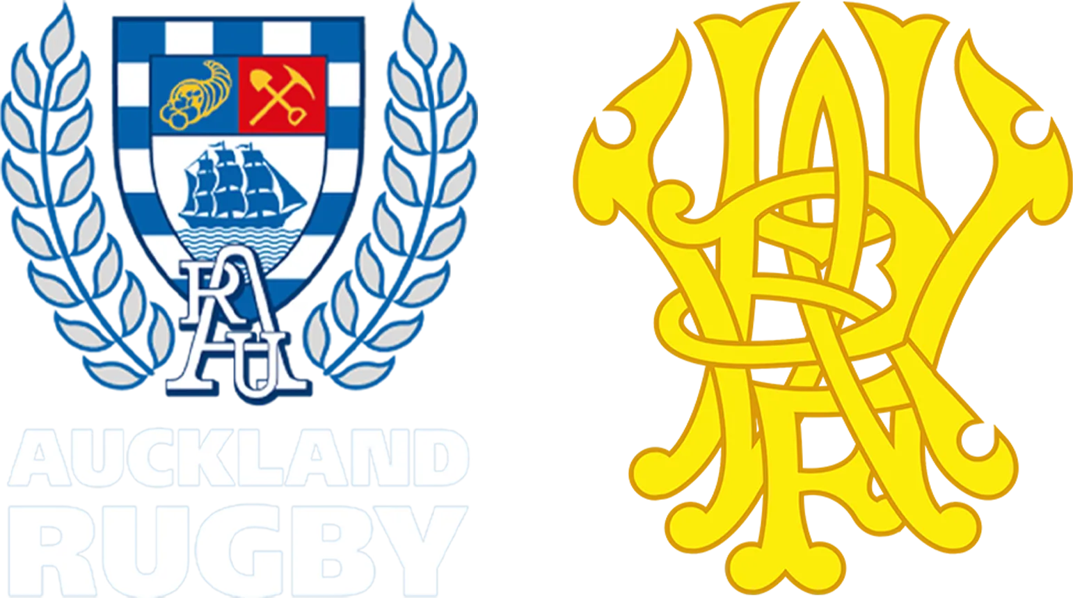 Auckland x Wellington