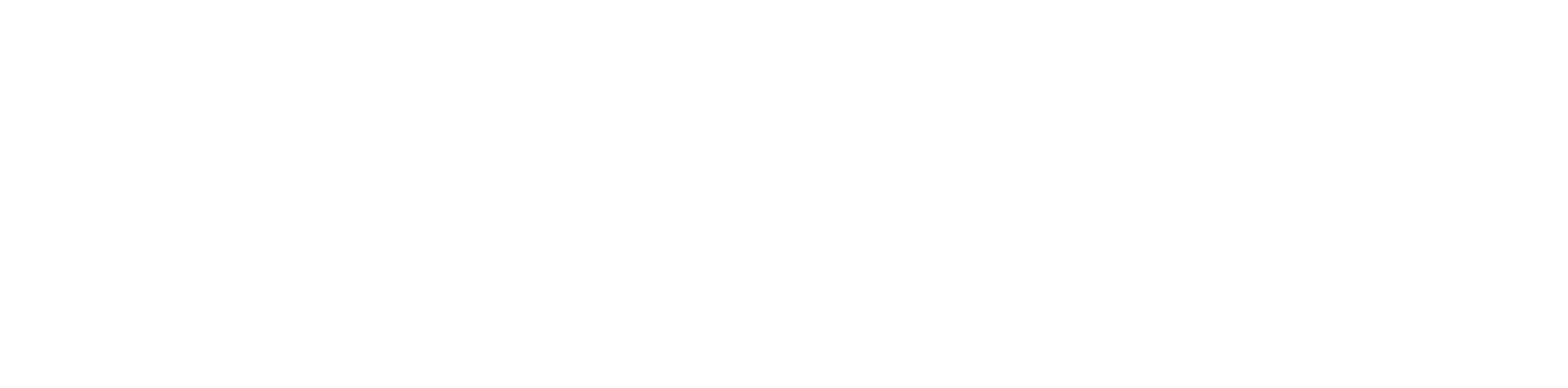 Harry Wild - Mörderjagd in Dublin