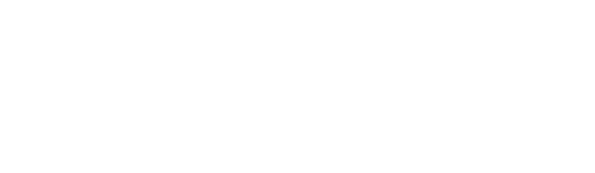 A Discovery of Witches