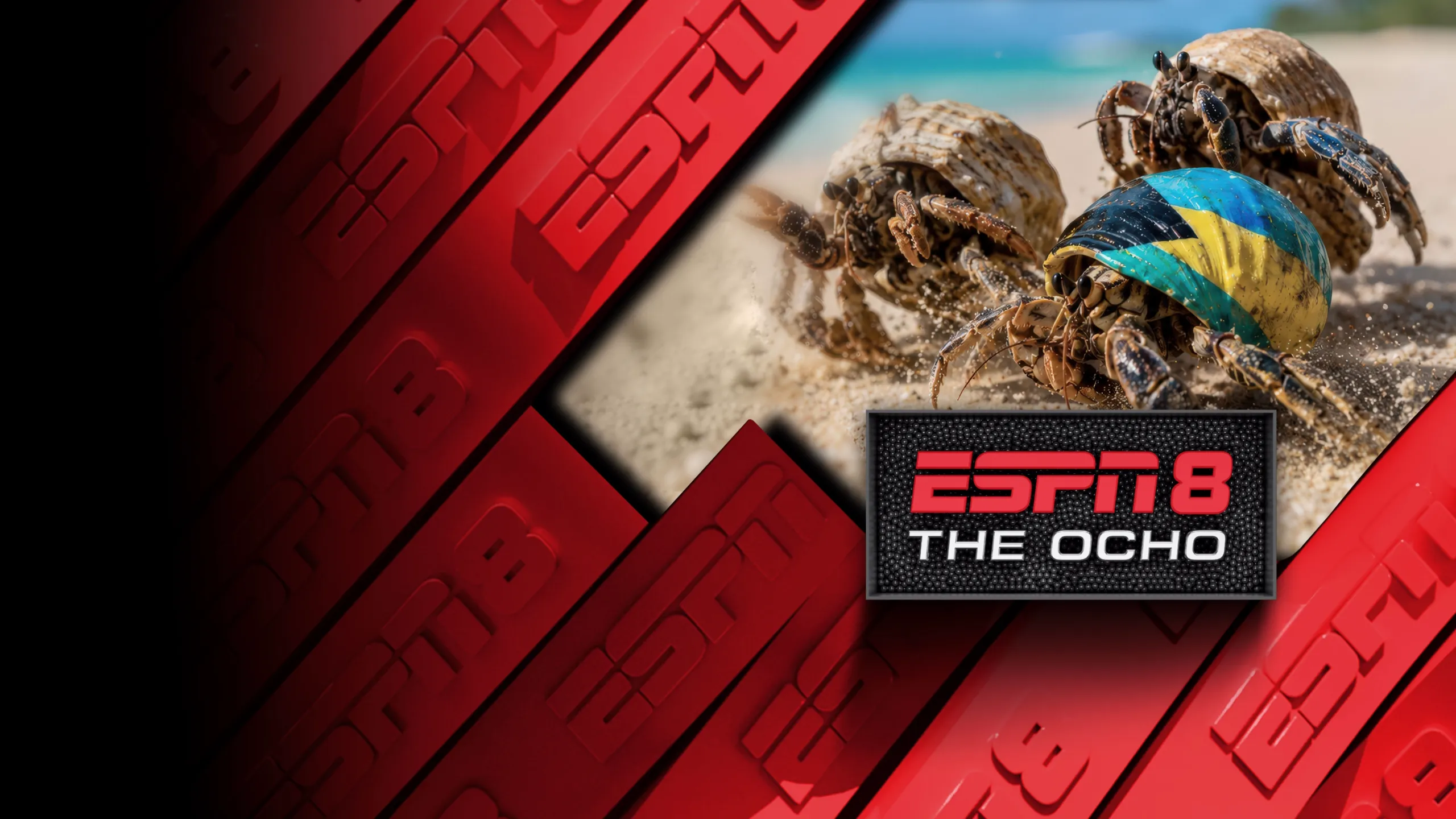 Great Bahamian Crab Races