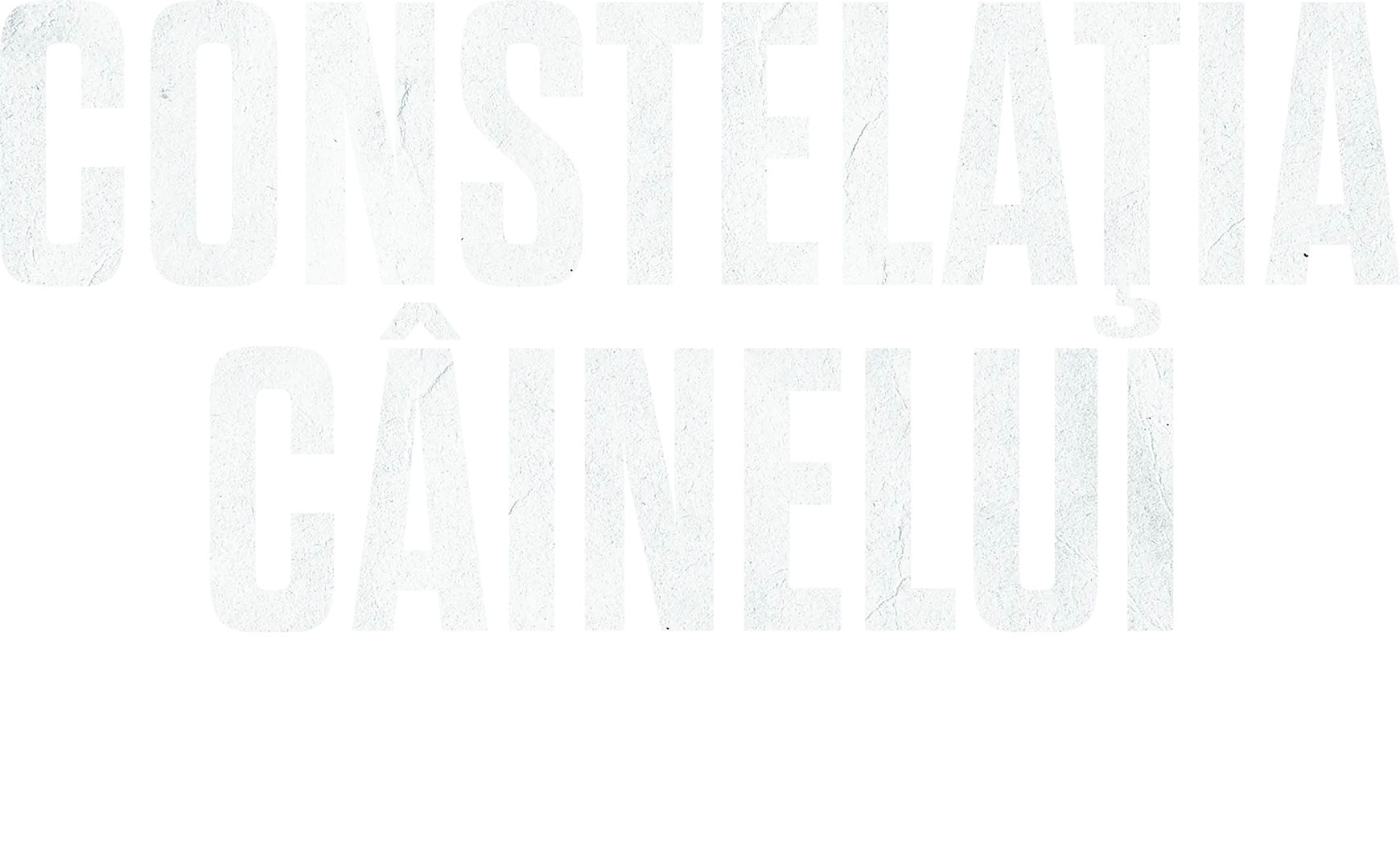 Constelaţia Câinelui | O perspectivă aparte