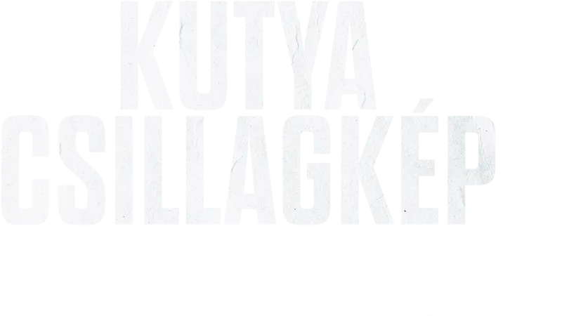 Kutya csillagkép | Különleges betekintés