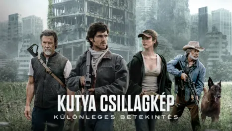 thumbnail - Kutya csillagkép | Különleges betekintés
