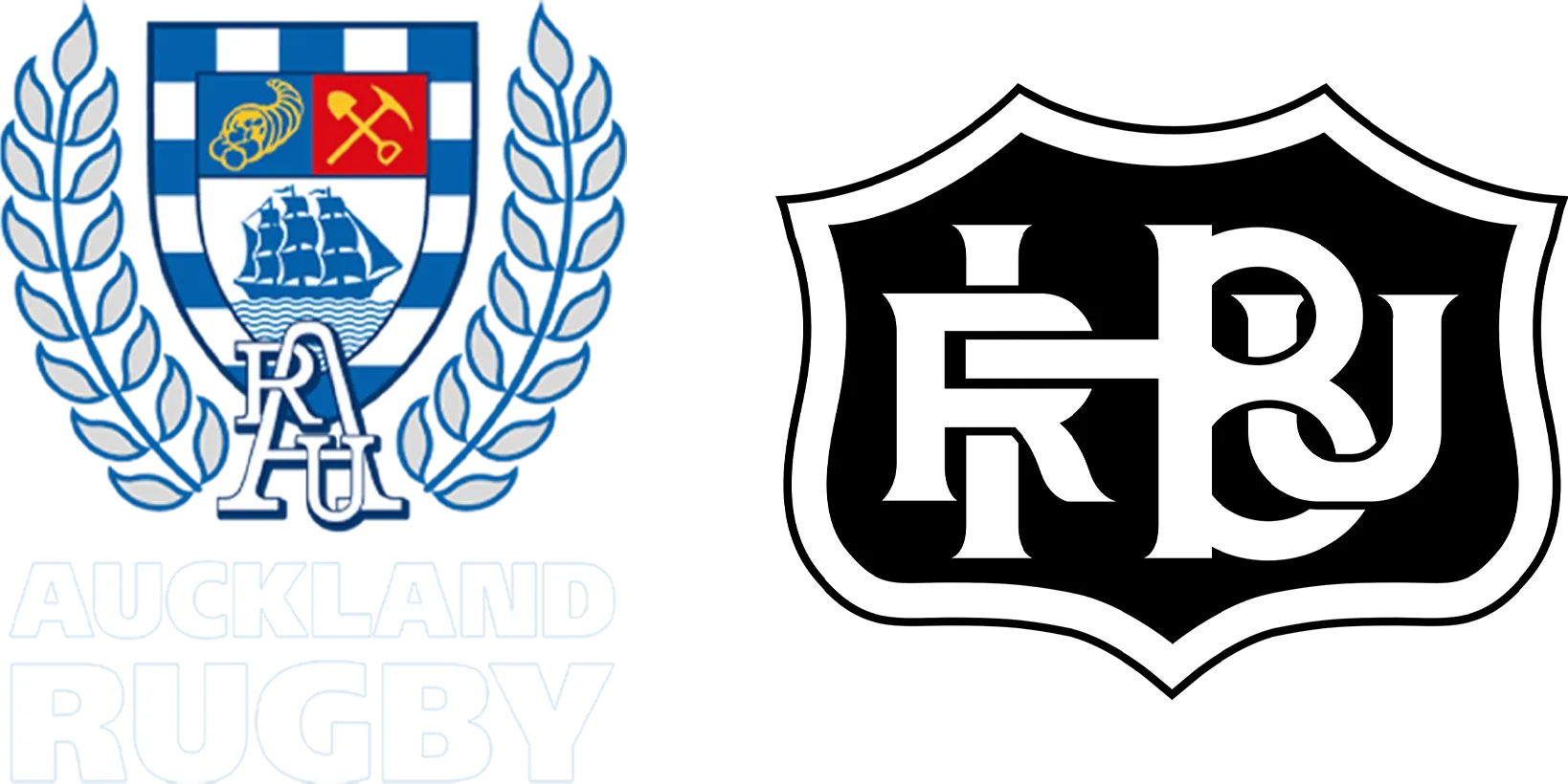 Auckland vs. Hawke's Bay