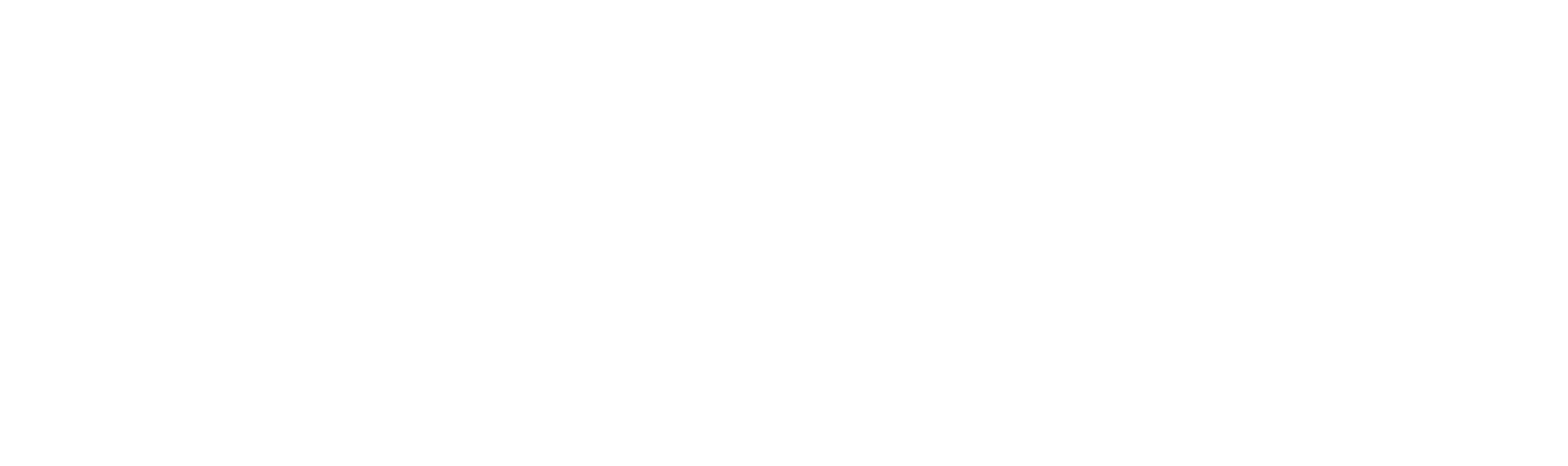 רובוטריקים: האביר האחרון