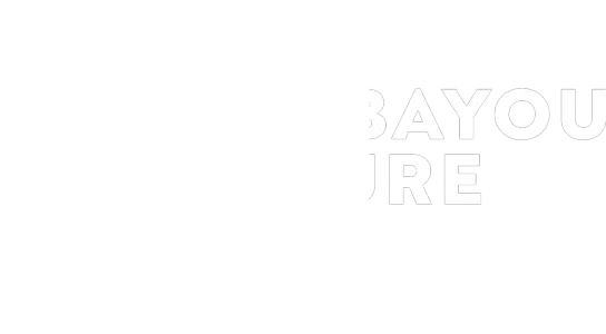 Tiana's Bayou Adventure | Disneyland Resort