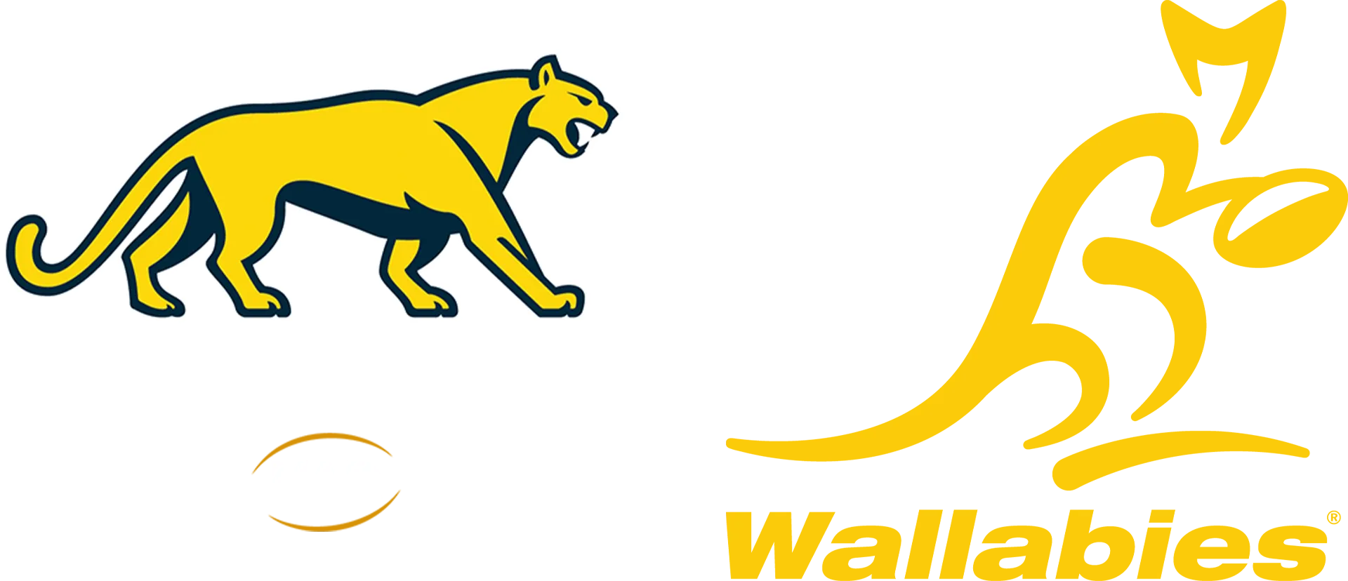 Argentina vs. Australia