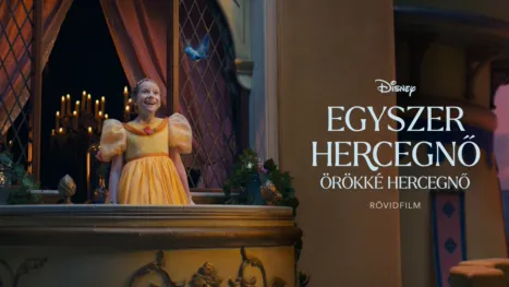 thumbnail - Egyszer hercegnő, örökké hercegnő