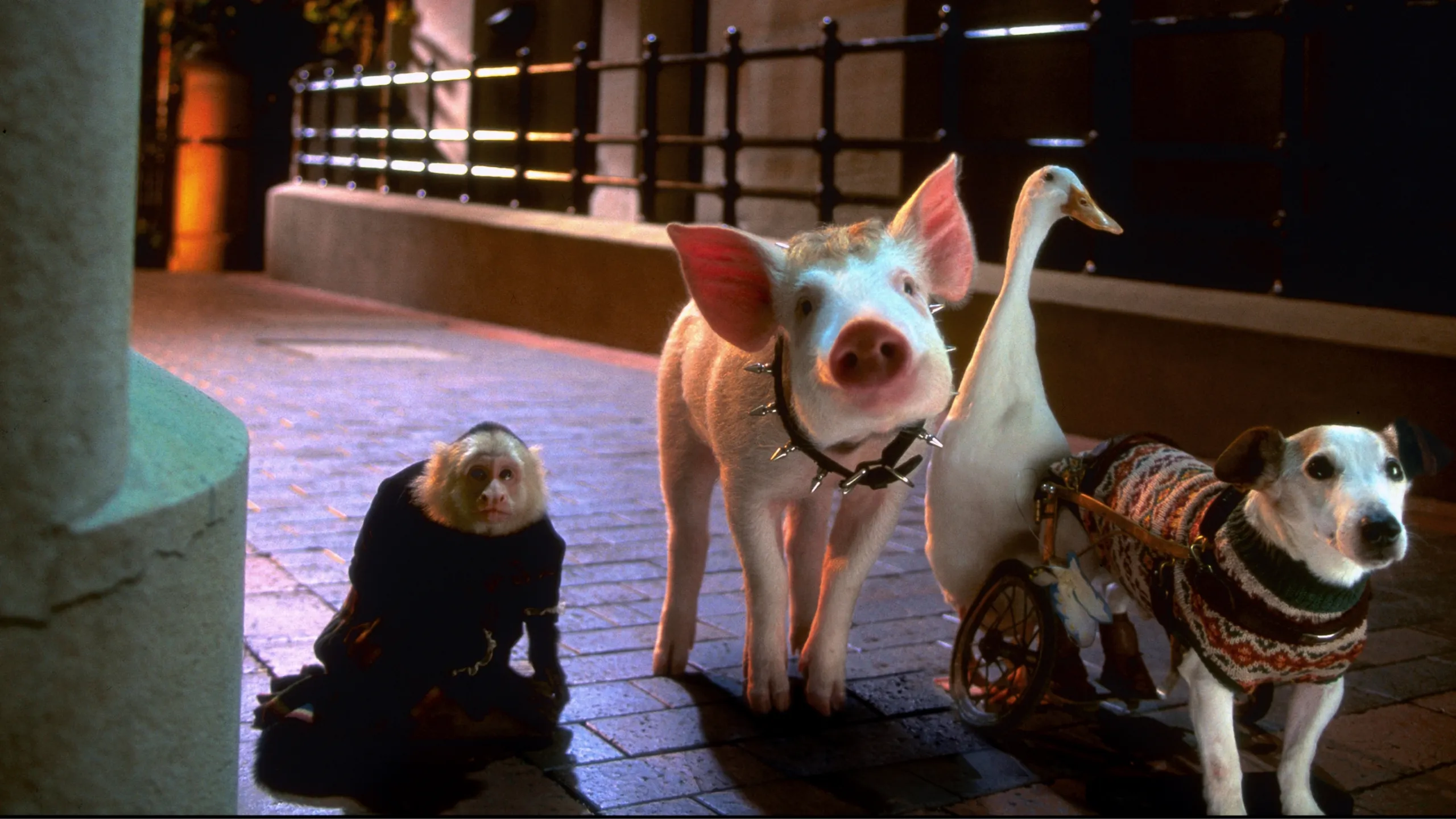 Babe: Pig in the City