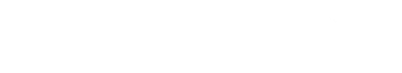 Curious George 2: Follow That Monkey