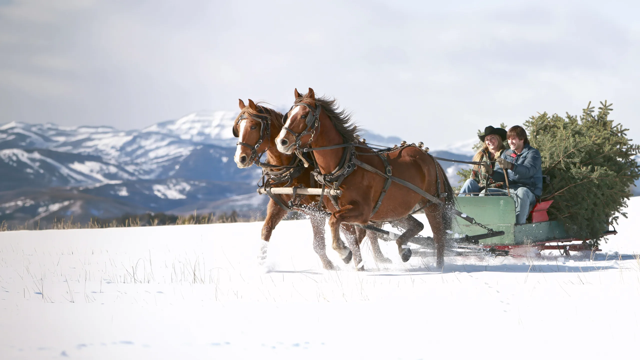 A Heartland Christmas