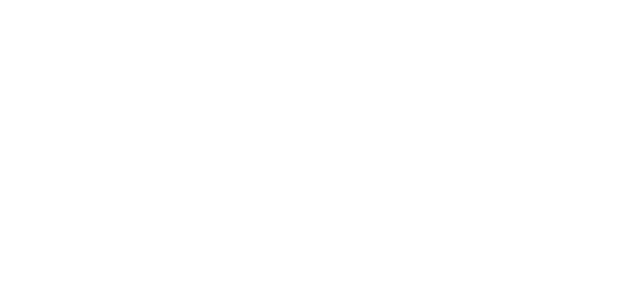 ブルーイのスペシャルステージ！